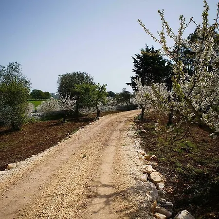 Trullo Dell'aia *