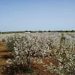 Trullo Dell'aia * מונופולי
