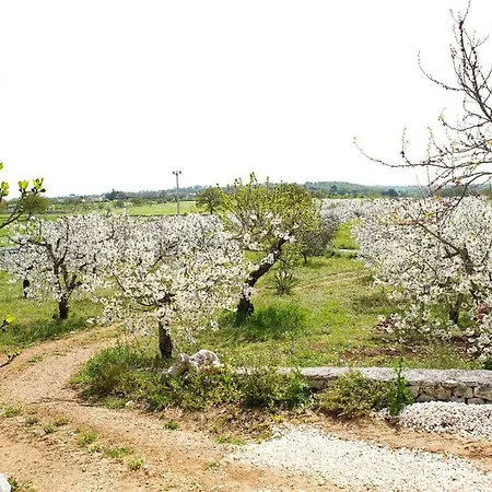 Trullo Dell'aia *